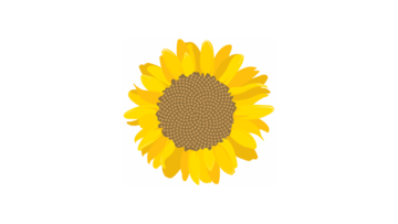 Girasol